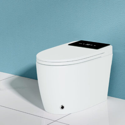 Smart туалет SG-AW855 с бачком