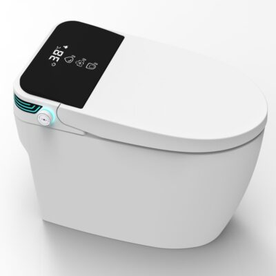 Smart туалет SG-SCW4