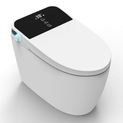 Smart туалет SG-SCW4
